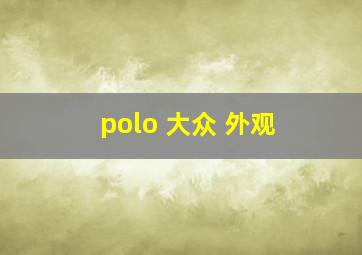 polo 大众 外观